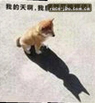 刘洋